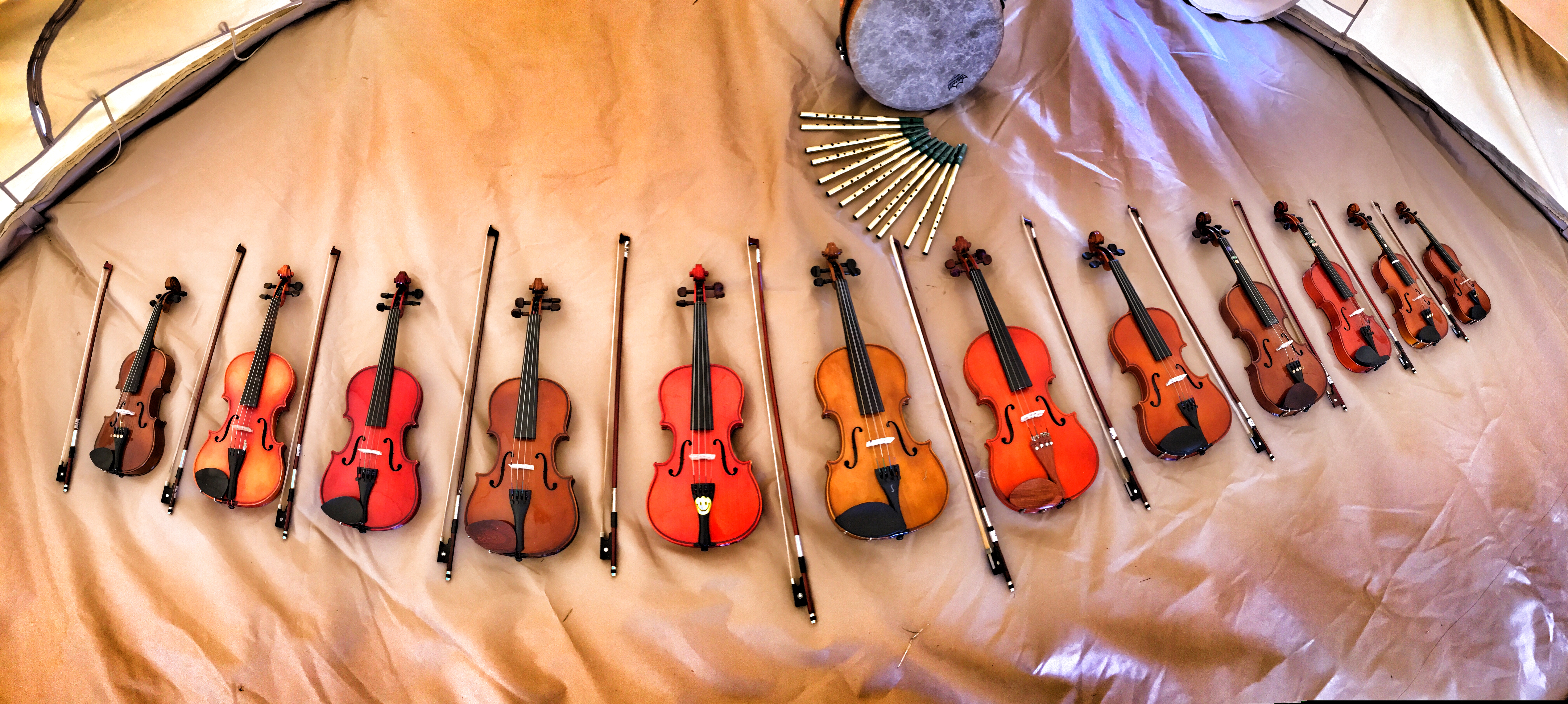 Lots of violins of different sizes